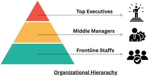 Organizational Hierarchy